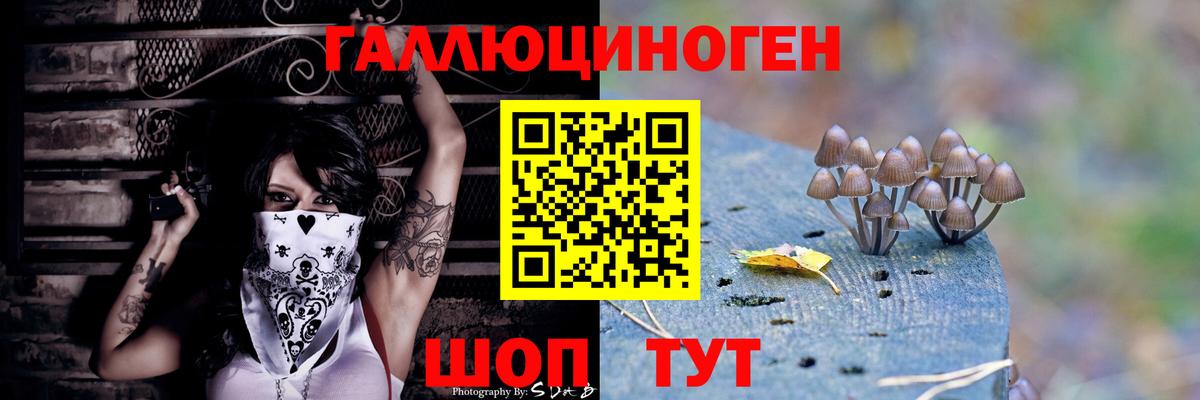 Горно-Алтайск  Псилоцибиновые грибы Psilocybine cubensis  как найти   Вход с VPN 
